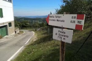 Chalet Pineta di Mattioli Sergio (Scurano)