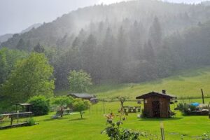 Chalet verde / rustico Pastoria