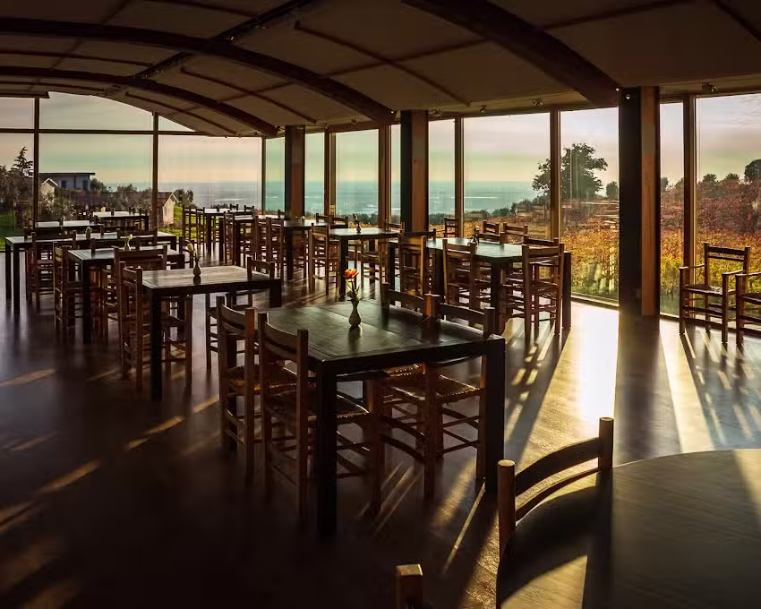 Cincinnato Wine Resort