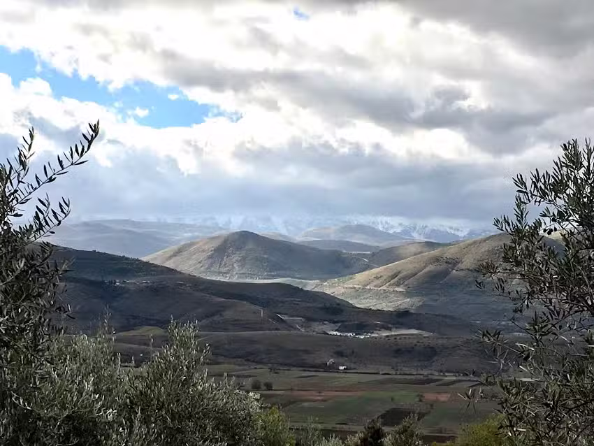 Civico25 – Az. Agricola & Casa Vacanze