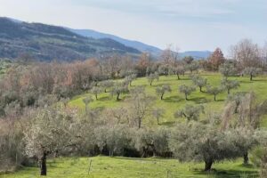 Colle Paradiso agriturismo