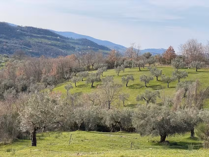 Colle Paradiso agriturismo