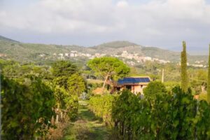 Colle Vento – Cantina & Agriturismo