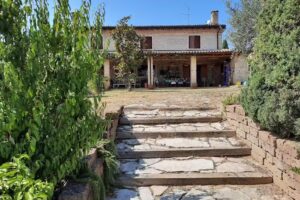 Collina dei Ciliegi B&B