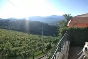 Complesso colonico Pogginano