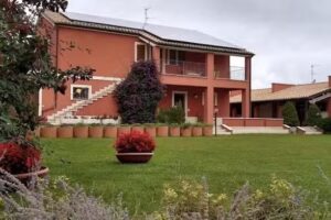 CONTADO SAN LORENZO – GIGLIO ROSSO