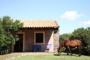 Country Hotel Mandra Edera