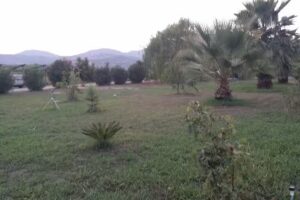 COUNTRY HOUSE B&B “CASALE D’ORIO”