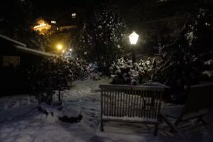 Country House Dolomiti