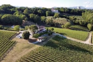 Country House Giusti Abazia – Bed & Breakfast