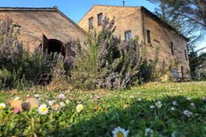 Country House Montebello