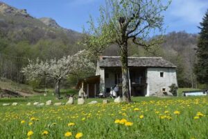 Country Rooms & Kitchen Vico Canavese