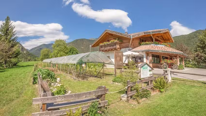 Crosina Holiday – B&B fattoria della Patty