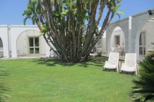 Cuore di Palme Siracusa