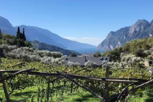 Da La Babi – Bed And Breakfast