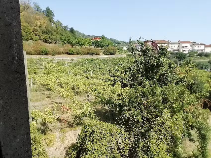 Dal’Antico Campanile, Rovigo