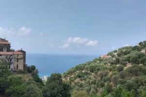 Discover Cilento, Agenzia di viaggi e turismo