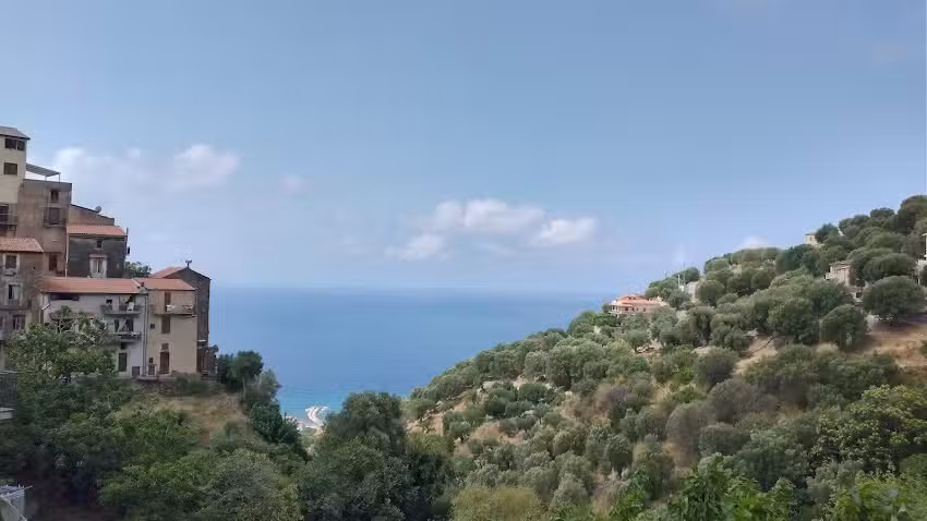 Discover Cilento, Agenzia di viaggi e turismo