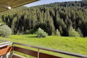 Domus Alpina Bormio Alta Valtellina
