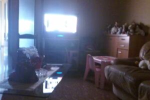 Domus Bocca Di Leone