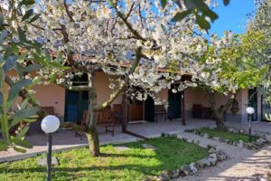 Don Federico – B&B-Agriturismo-Pet & Bike friendly- Moscufo