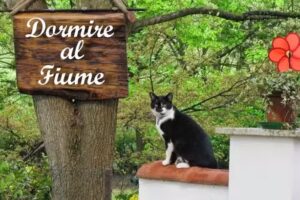 Dormire “Al Fiume”