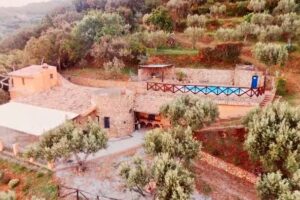 DUE Esperienza Panoramica