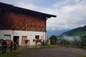 Egarthof Reiterbauernhof