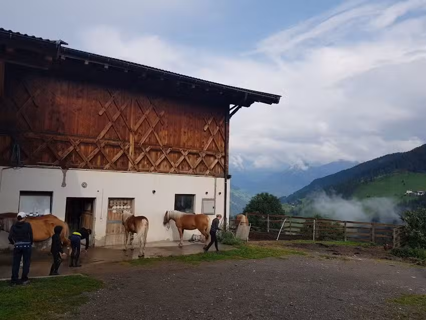 Egarthof Reiterbauernhof