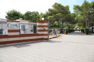 Euro 92 Camping & Rooms