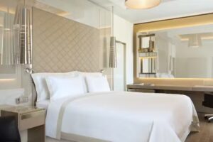 Excelsior Hotel Gallia