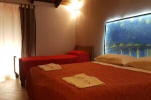 Exclusive Apartments in center