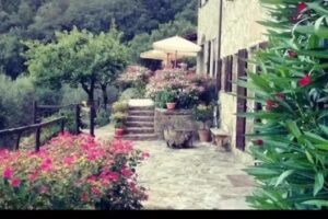 Farmhouse Castagnola 64