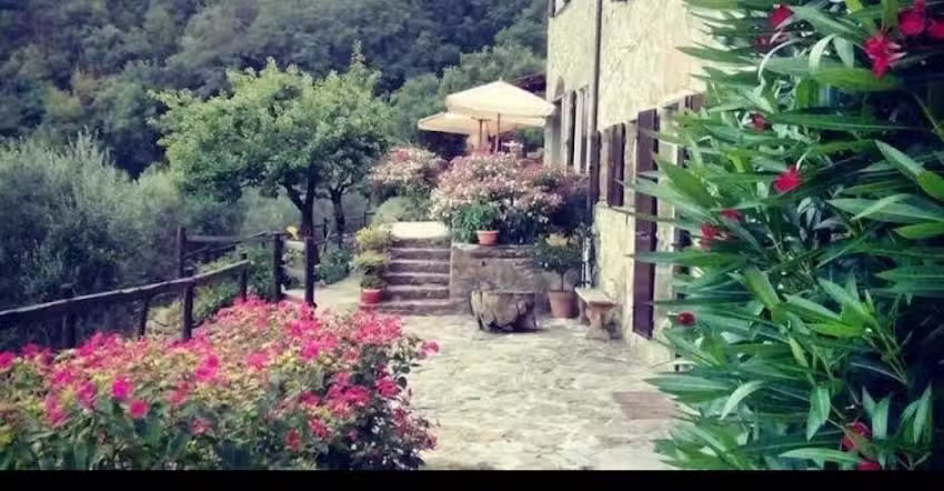 Farmhouse Castagnola 64