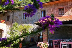 Fattoria Bonaria Savigni