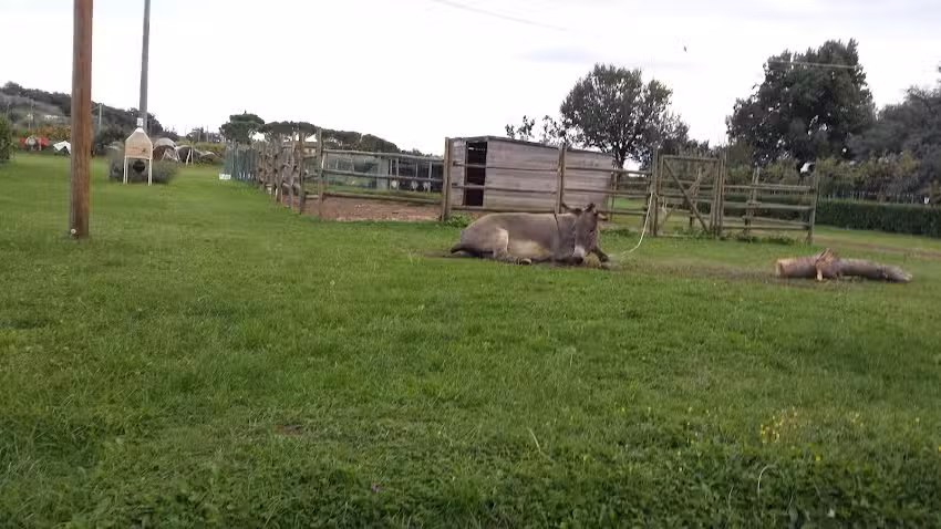 FATTORIA CASABIANCA di Liquori Aldo