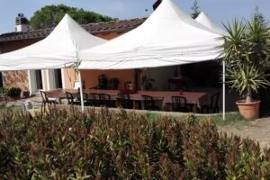 Fattoria Cercatoia Alta