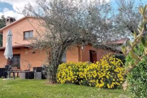 Fattoria Del Quondam