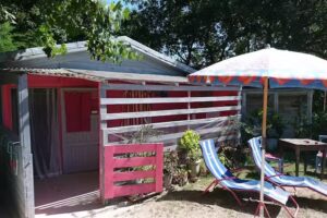 fattoria dentro al bosco