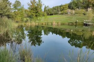 Fattoria di Mogginano