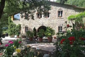 Fattoria il Ginepro di Bambi Dino