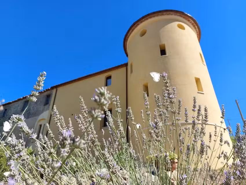 Fattoria la Campigliola