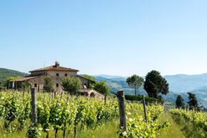 Fattoria Lavacchio BIO Winery