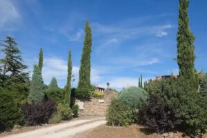 Fattoria Le Tassinaie