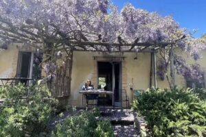 Fattoria Ma’ Falda Società Agricola