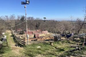 Fattoria Madonna della Querce