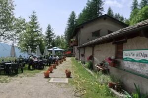 Fattoria Pian dell’Alpe