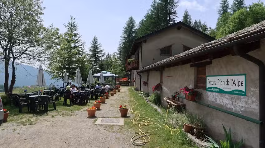 Fattoria Pian dell’Alpe