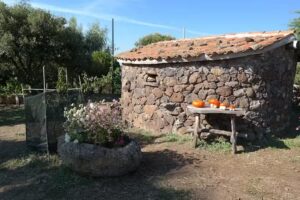 Fattoria S’Imbiligu