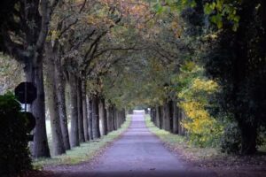 FATTORIA VARRAMISTA – Podere La Frasca